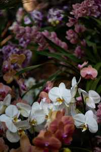 Image 88